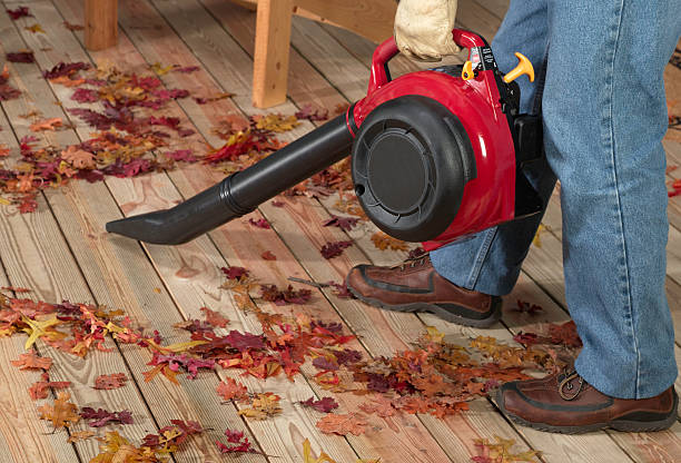 Comment choisir un souffleur de feuilles ?