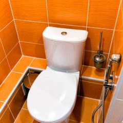 Pourquoi remplacer son bidet par une douchette WC ?