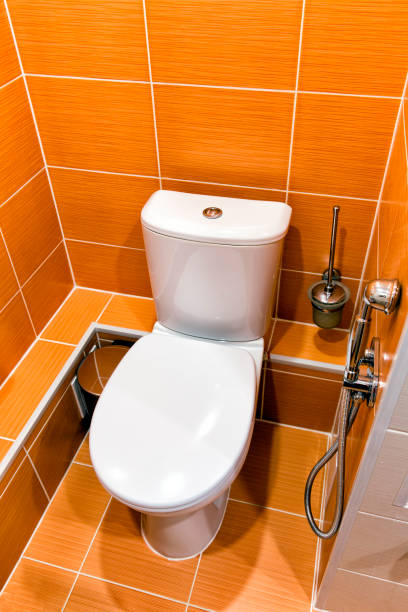 Pourquoi remplacer son bidet par une douchette WC ?