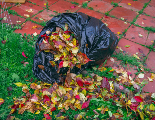 Comment ramasser des feuilles mouillées ?