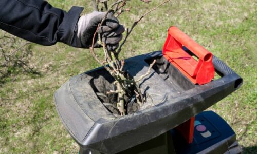 Comment choisir la puissance adéquate d’un broyeur de branches électrique ?