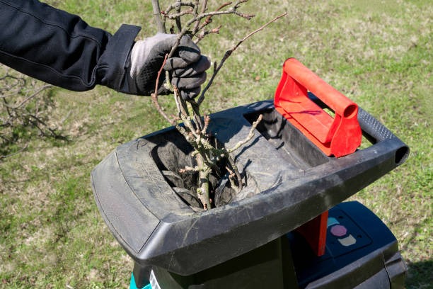 Comment choisir la puissance adéquate d’un broyeur de branches électrique ?