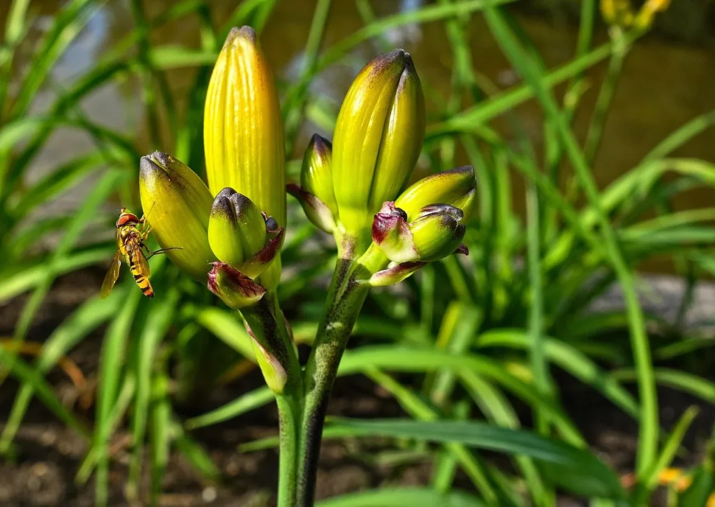 Comment Aider la Planète avec l'Alimentation Bio